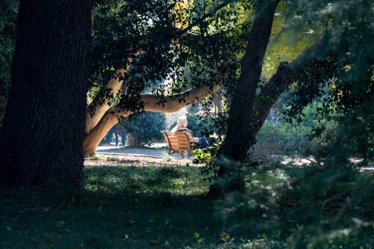 Planting Your Retirement Tree