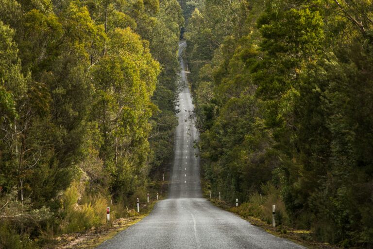 Cashflow Modelling: Clear the Financial Windscreen
